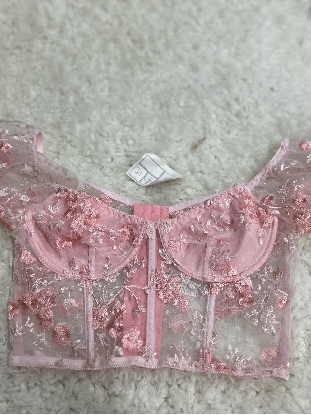 Sheer pink Floral Embroidered Bustier